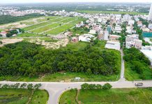 Án lệ số 34/2020/AL về quyền lập di chúc