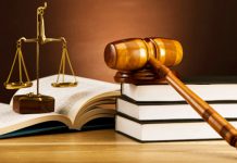 Luật sư hình sự Ngọc Anh