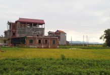 Đất 50 năm có được xây nhà, cấp Sổ đỏ không?