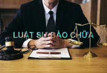 Luật sư giỏi về hình sự và chuyên bào chữa vụ án hình sự