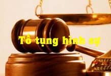 Một số vấn đề lý luận chung về các giai đoạn tố tụng hình sự