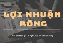 Lãi ròng là gì ? Cách hiểu đúng về lãi ròng ? Cho Ví dụ về lãi ròng