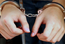 Người Việt phạm tội ở nước ngoài có bị pháp luật Việt Nam xử lý?