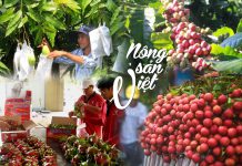 Đang trong thời gian thử thách hưởng án treo thì có được góp vốn thành lập công ty sản xuất nông sản hay không?