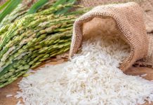 Điều kiện kinh doanh xuất khẩu gạo