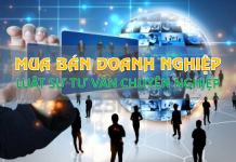 Có cần thuê luật sư khi mua lại công ty không? – Hướng dẫn chi tiết năm 2023