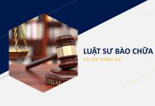 Luật sư chuyên bào chữa về các vụ án hình sự: Tất cả những gì bạn cần biết