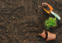 Tranh chấp quyền sử dụng đất