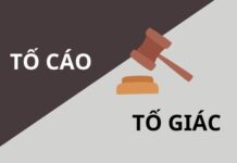 Luật sư tham gia bảo vệ từ giai đoạn tố giác: Quyền lợi và vai trò quan trọng