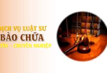 Luật sư bào chữa có thể thay đổi kết quả vụ án không?