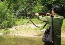 So sánh hình phạt giữa tội vô ý và tội cố ý làm chết người, Luật sư tư vấn hình sự công ty luật Đỗ Gia Việt