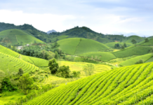 Điều kiện khởi kiện vụ án tranh chấp đất đai