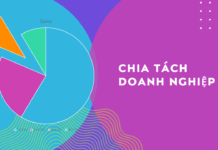 Dịch vụ làm thủ tục chia, tách doanh nghiệp