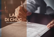 Có được lập di chúc thừa kế tài sản cho con dâu không?