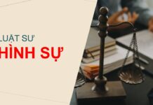 Dịch vụ luật sư hình sự