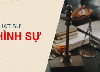 Dịch vụ luật sư hình sự