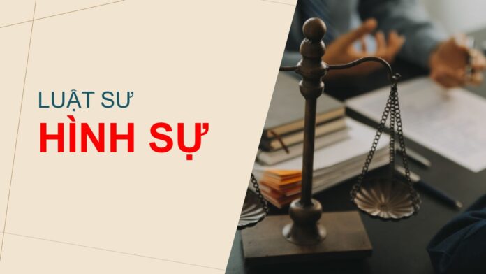 dich vu luat su hinh su