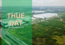 Chậm trả tiền thuê đất xử lý thế nào?