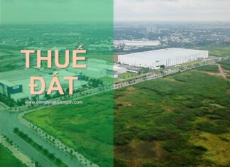 Chậm trả tiền thuê đất xử lý thế nào?