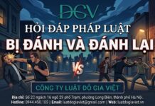 Đánh trả người khác khi bị tấn công có bị truy cứu hình sự không?