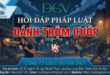 Lỡ đánh trọng thương trộm cướp vào nhà có vi phạm pháp luật không?
