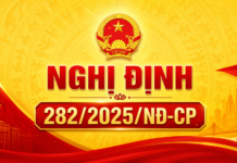 Nghị định 282/2025/NĐ-CP của Chính phủ: Quy định xử phạt vi phạm hành chính trong lĩnh vực an ninh, trật tự, an toàn xã hội; phòng, chống tệ nạn xã hội; phòng, chống bạo lực gia đình