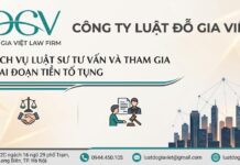 Dịch vụ luật sư tư vấn và tham gia giai đoạn tiền tố tụng