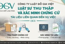 Luật sư thu thấp chứng cứ tài liệu liên quan vụ việc