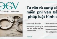 Tư vấn và cung cấp miễn phí văn bản pháp luật hình sự