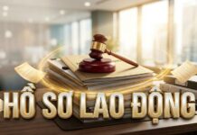 Hồ sơ lao động bao gồm những gì?