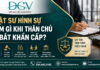 Luật sư hình sự làm gì khi thân chủ bị bắt khẩn cấp?