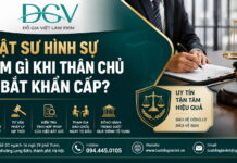 Luật sư hình sự làm gì khi thân chủ bị bắt khẩn cấp?