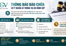 Luật sư chuyên về hình sự tư vấn, bảo vệ quyền lợi cho bị hại và bị cáo trong các vụ án hình sự