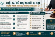 Luật sư hỗ trợ người bị hại trong vụ án hình sự những công việc gì?
