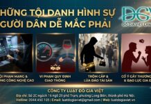 Những tội danh hình sự người dân dễ mắc phải