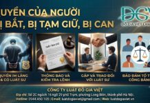 Quyền của người bị bắt, bị tạm giữ, bị can: Những điều cần biết để bảo vệ quyền và lợi ích hợp pháp