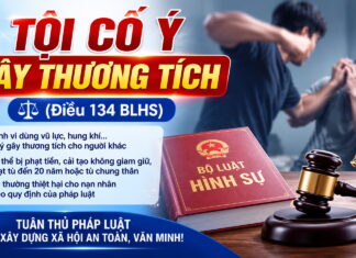 Tội cố ý gây thương tích (Điều 134 BLHS)