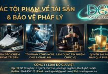 Các tội phạm về tài sản: Những điều người dân cần biết để tránh vi phạm pháp luật