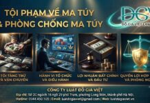 Tội phạm về ma túy: Những quy định pháp luật người dân cần biết