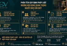 Phân Tích Quy Định Pháp Luật Hình Sự: Những Nội Dung Quan Trọng Người Dân Cần Biết