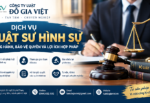 Dịch vụ luật sư hình sự đồng hành bảo vệ quyền và lợi ích hợp pháp