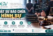 Luật sư bào chữa hình sự – Bảo vệ quyền và lợi ích hợp pháp của bị can, bị cáo