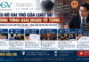 Hiểu rõ vai trò của luật sư trong từng giai đoạn tố tụng