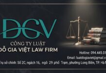 Dịch vụ soạn thảo đơn từ pháp lý khẩn cấp,