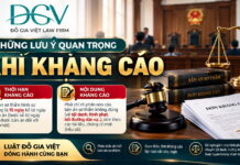 Những lưu ý quan trọng khi kháng cáo