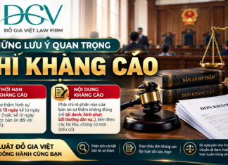 Những lưu ý quan trọng khi kháng cáo