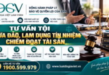 Tư vấn tội lừa đảo, lạm dụng tín nhiệm chiếm đoạt tài sản